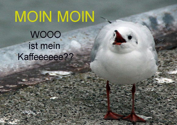 chat