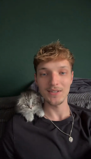 chat