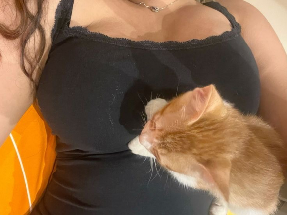 chat