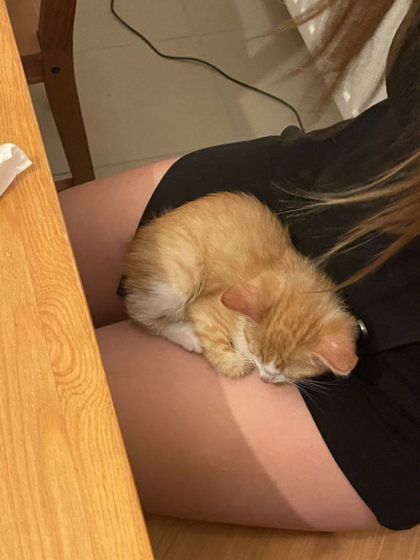 chat