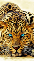 chat