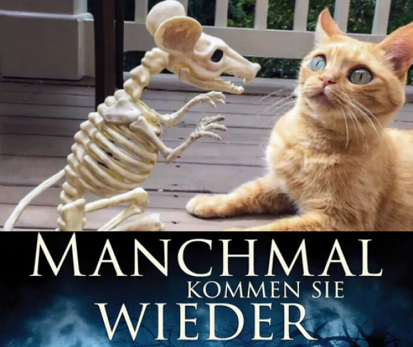 chat